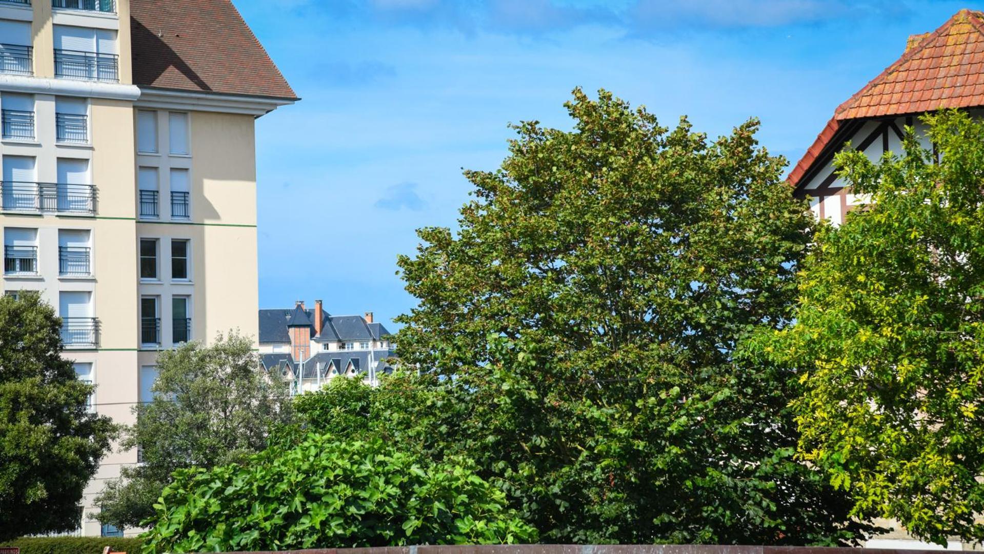 Superbe Appartement Proche Port Guillaume Dives-sur-Mer Exterior foto